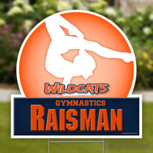 WMS Ladies Gymnastics
